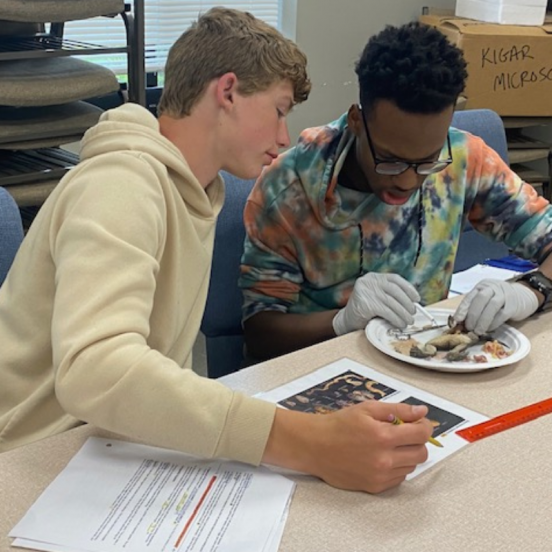 Students in class
